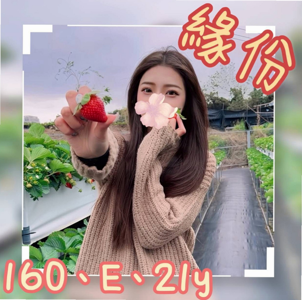 高雄找妹妹:濕樂 |小蘿莉學生妹|163cm|49kg|D杯|24y|